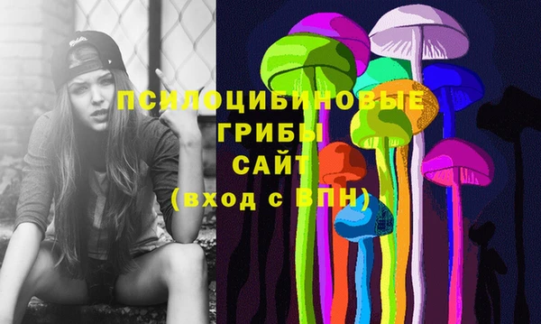 apvp Пересвет
