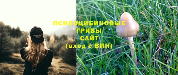 мескалин Переславль-Залесский