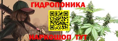 спайс Гай
