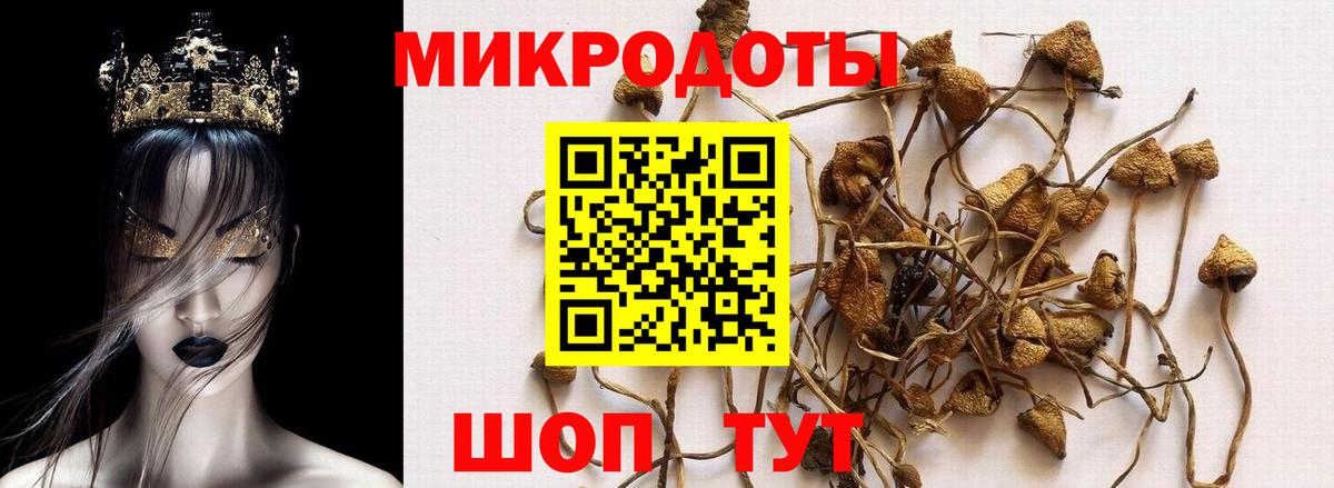 Апатиты  Галлюциногенные грибы мицелий  Вход с VPN 