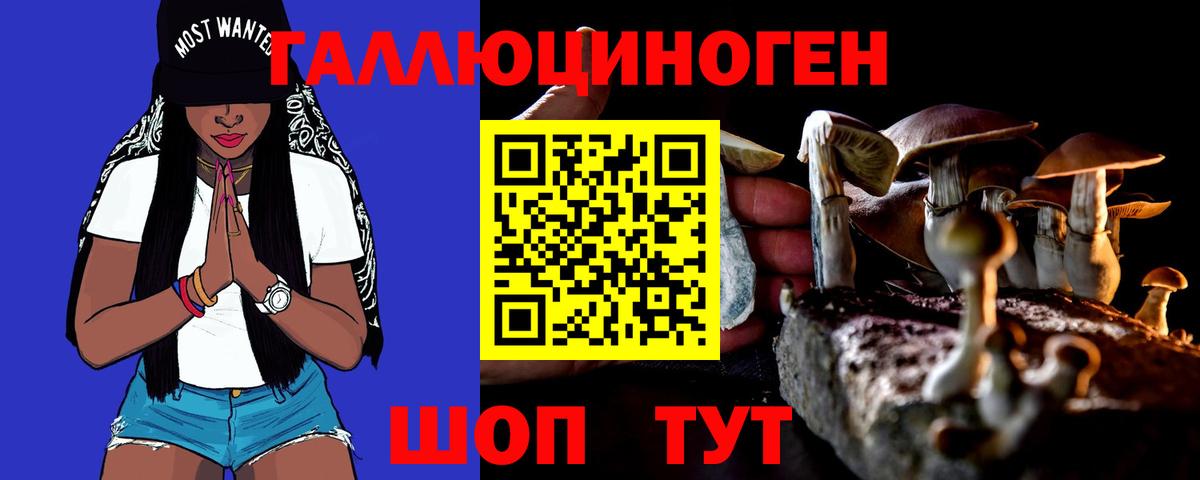 Апатиты  Псилоцибиновые грибы Magic Shrooms  Вход с VPN 