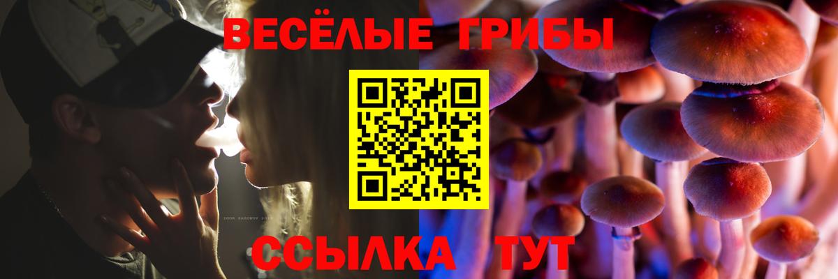 Псилоцибиновые грибы ЛСД Апатиты