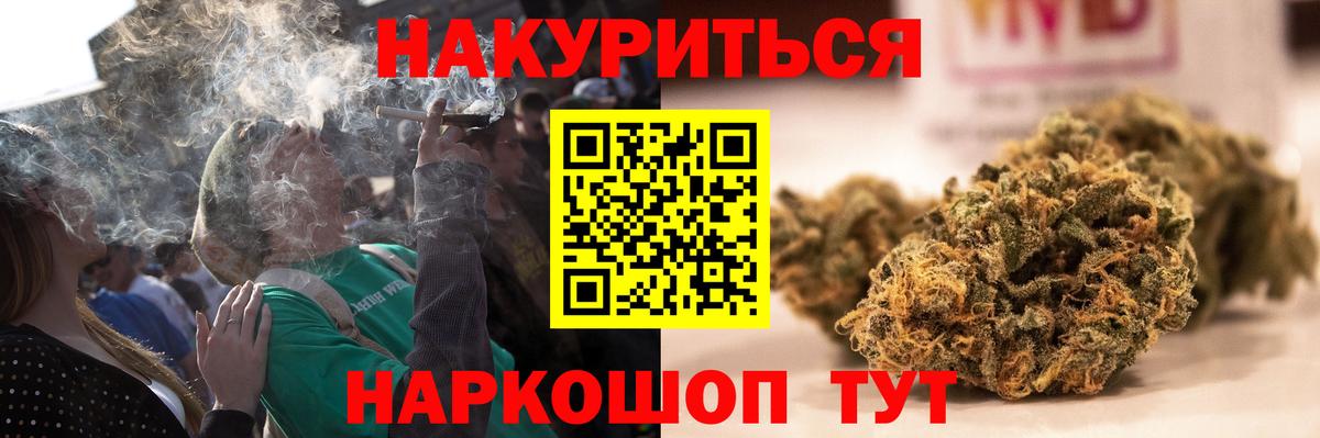 Конопля индика Апатиты